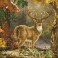 Prince of the Forest