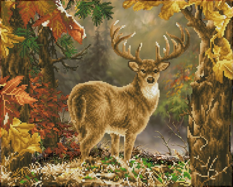 Prince of the Forest Prince of the Forest