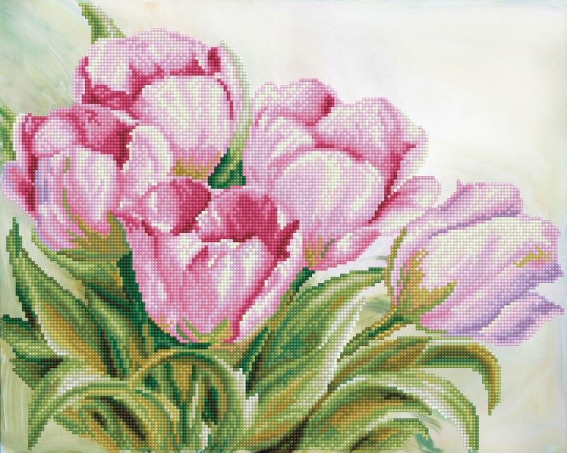 Tulip Swathe Tulip Swathe