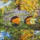 Country Bridge