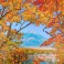Autumn Mountain