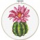 Pink Cactus