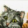 Curious Kittens