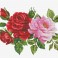 Rose Bouquet