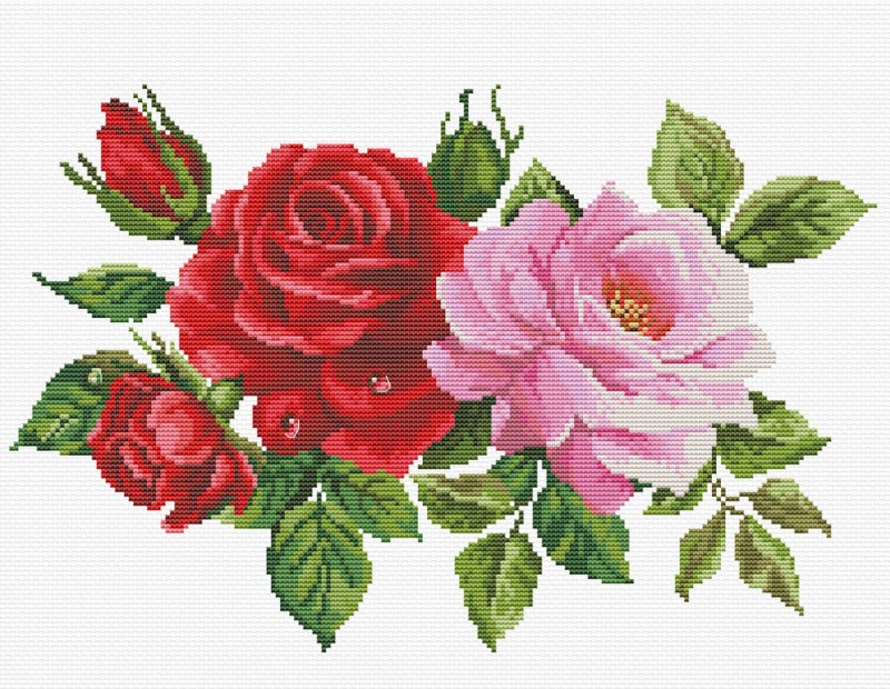 Rose Bouquet Rose Bouquet