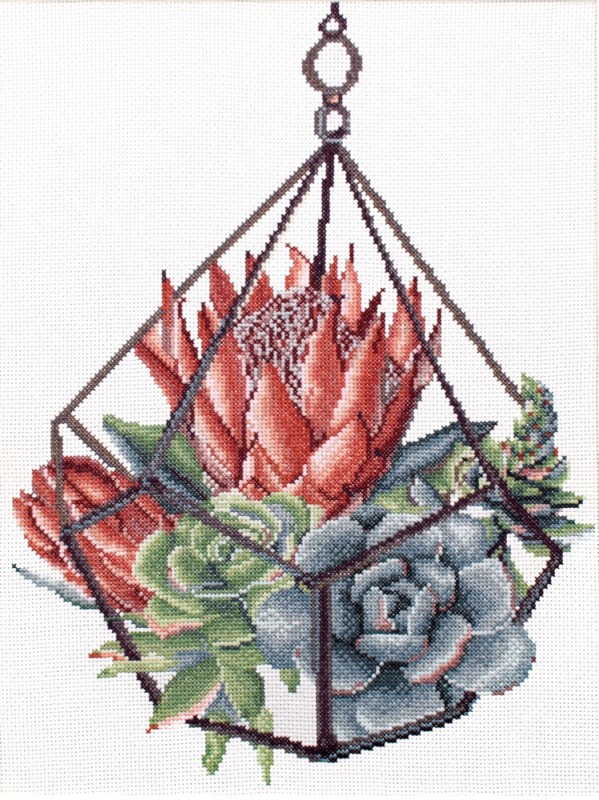 Succulent Garden 1 Succulent Garden 1