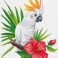 Cockatoo call