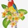 Frangipanni Rosella