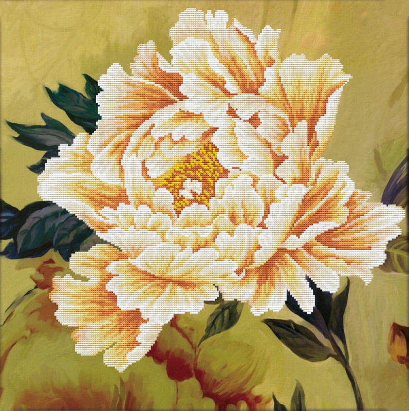 Blooming Peony2
