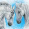 Horse prayer