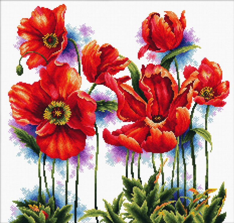 Lovely Poppies Lovely Poppies