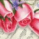Pink Roses & Music