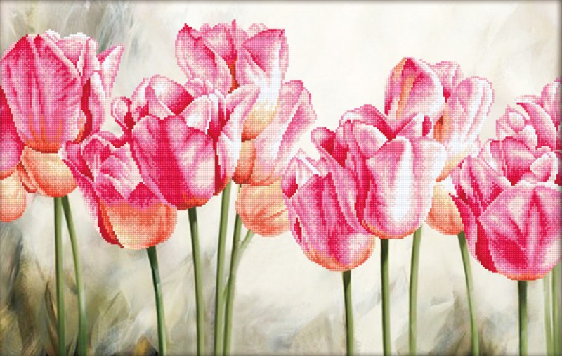 Pink Tulips