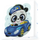 Cool Car