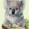 Koala & Eucalypus Blossom