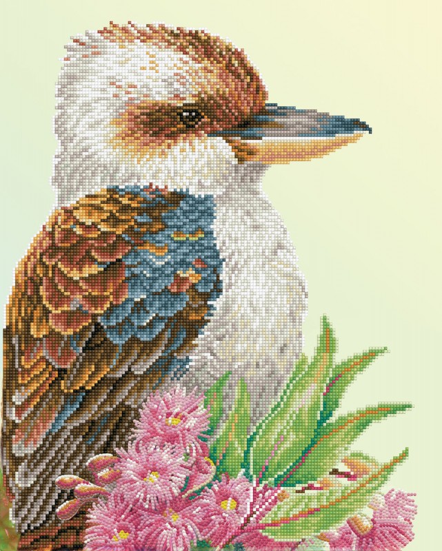 Kookaburra & Gum Blossom Kookaburra & Gum Blossom