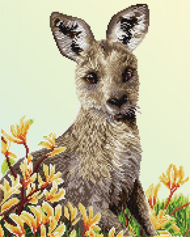 Kangaroo & Kangaroo Paw Kangaroo & Kangaroo Paw