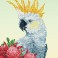 White Cockatoo & Warathas