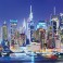 City Lights