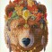 Bohemian Bear