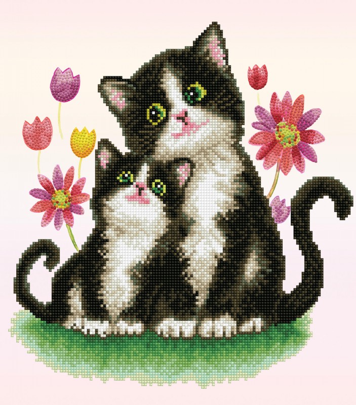 Kitty song Kitty song