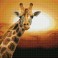 Sunset GiraffeAmboseli National Park, Kenya
