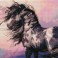 Cherokee-Blue