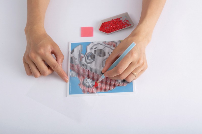 Let's Play Activity Set