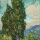 Cypresses (apres Van Gogh)
