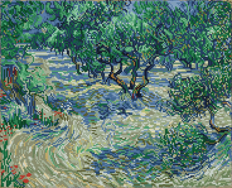 Olive Orchard