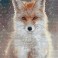 Snowflake Fox