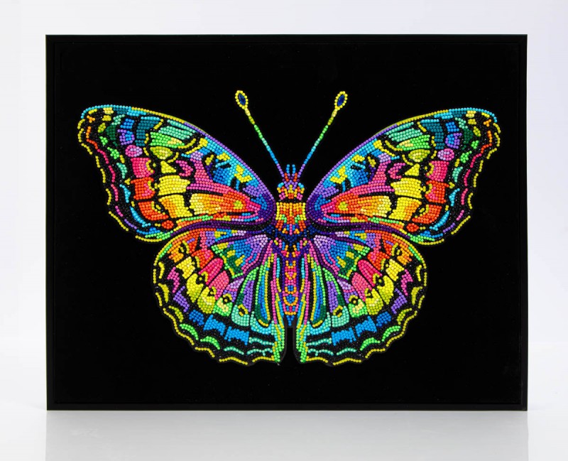 Neon Butterfly