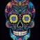 Neon Sugar Skull