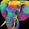 Neon Elephant