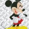CD852700105 - Mickey Wonders