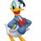CD852700405 - Donald