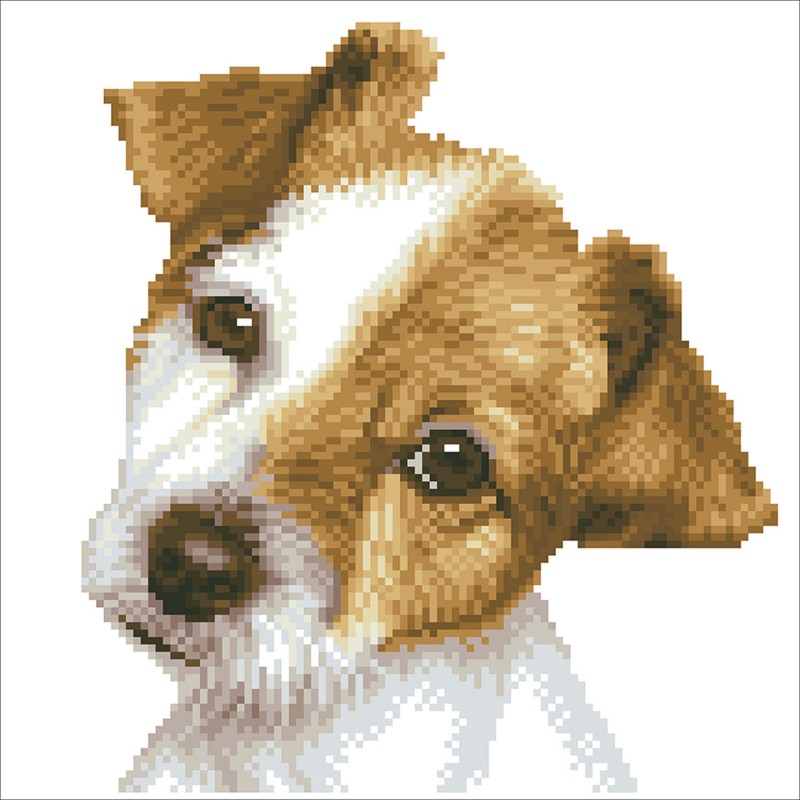 Puppy