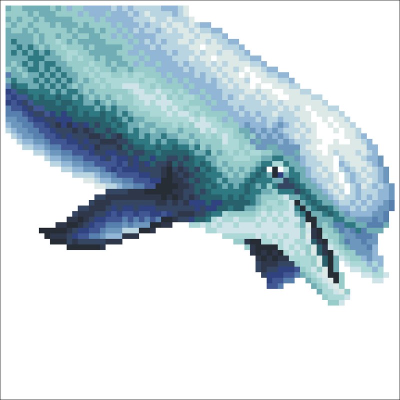 Dolphin