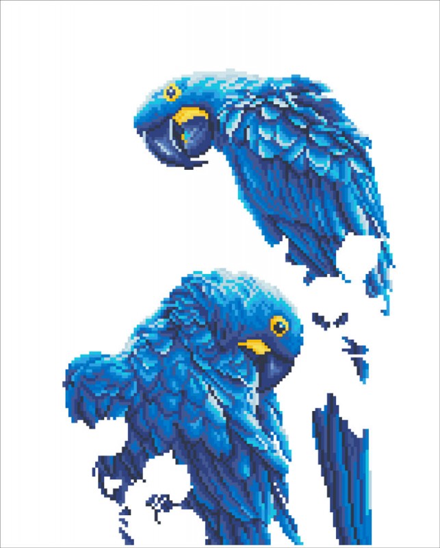 DD10.002 - Blue Parrots