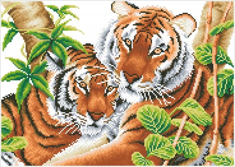 DD10.004 - Tender Tigers