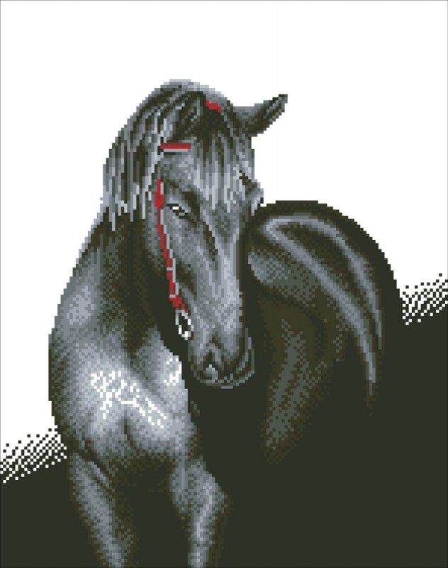 DD10.012 - Midnight Stallion