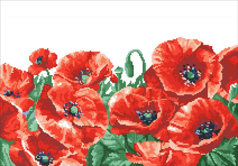 DD10.013 - Red Poppy Field