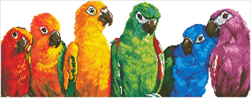 DD10.025 - Rainbow Parrots DD10.025 - Rainbow Parrots
