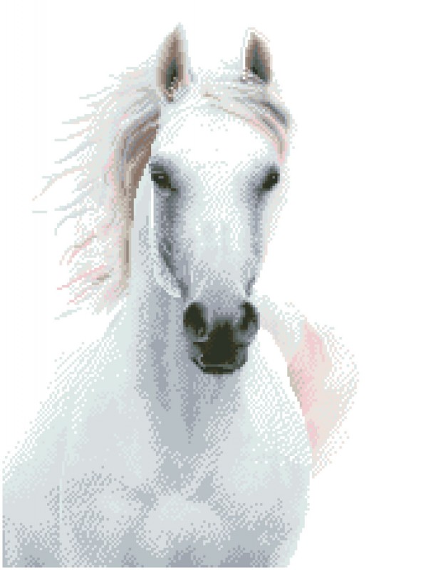 DD10.026 - Imperial Stallion