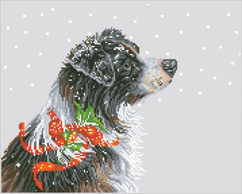 DD10.036 - Christmas Collie