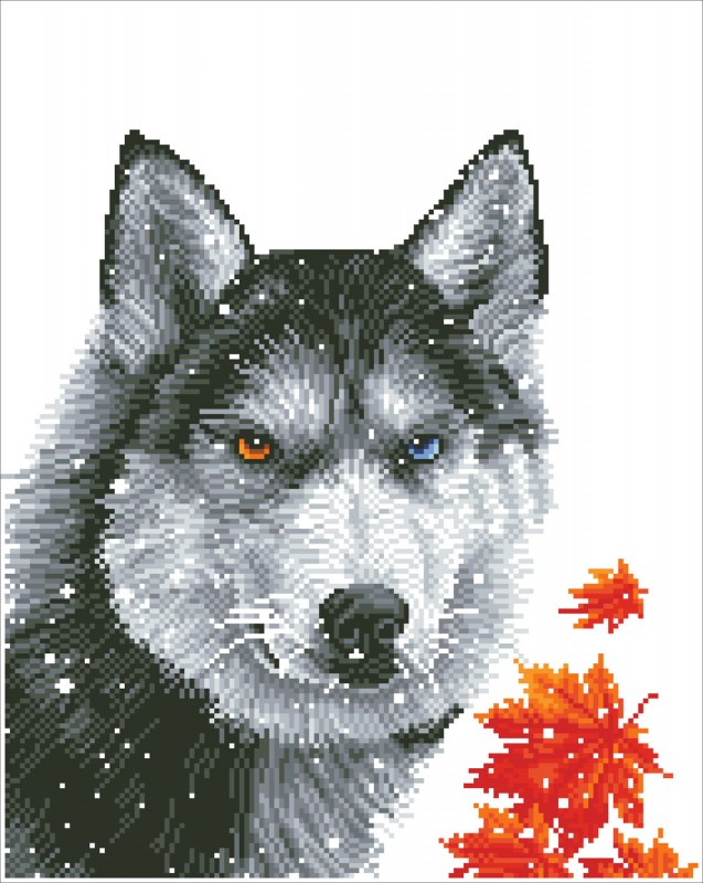 DD10.040 - Forest Wolf
