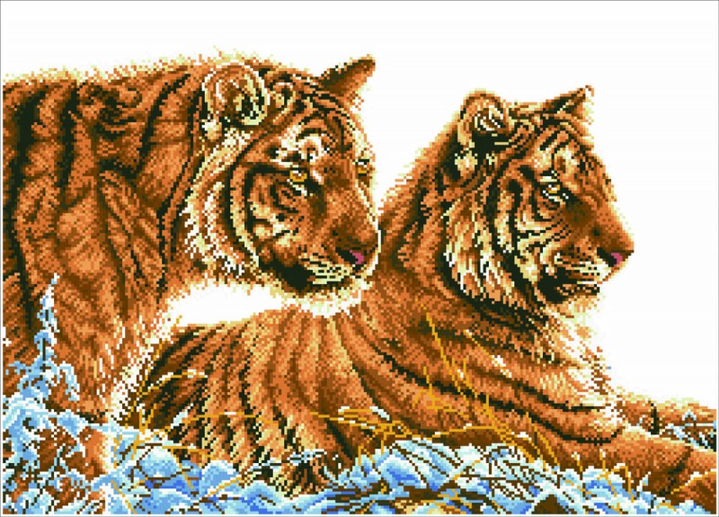 DD12.026 - Tigers in the Snow