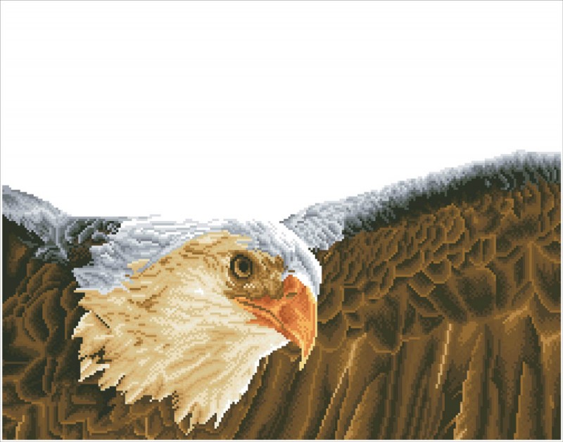DD13.003 - Bald Eagle & Flag