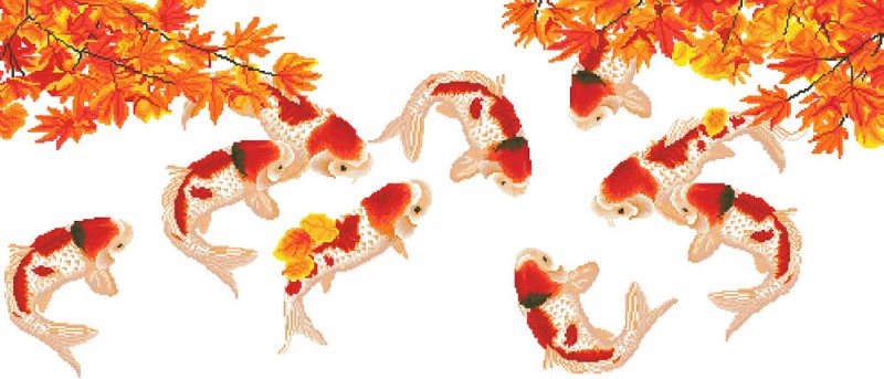 DD15.011 - Koi Carp
