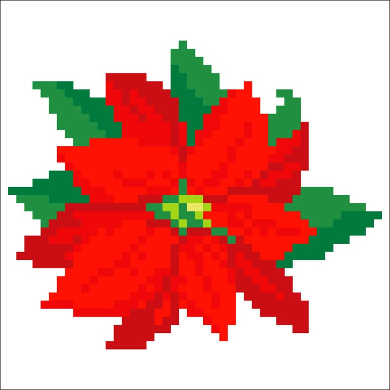 DD2.025 - Poinsettia Picture